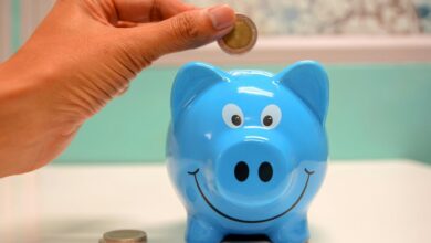 hdfc defense direction fund