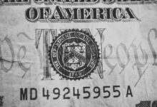 contact numbers listed here