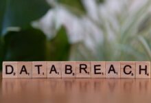 security and risk regulation