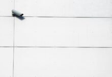 telecom privacy oversight numbers