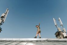 telecommunications risk division numbers