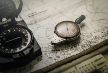 data analysis and insights