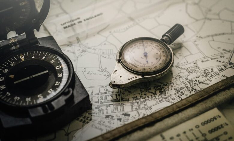 data analysis and insights