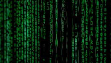 data briefing for identifiers