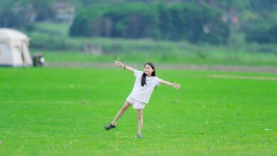 operational trends analysis report