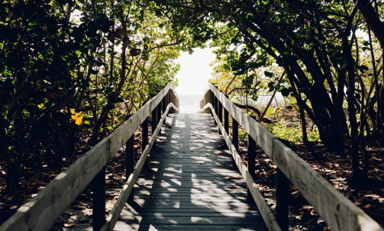 cosmic gateway unlocks visionary pathways