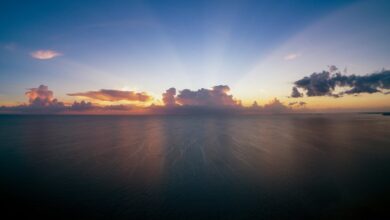 horizon node start 1 888