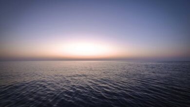 infinite pulse unlocks transformative horizons