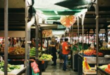 nova flow marketing potentialshaping