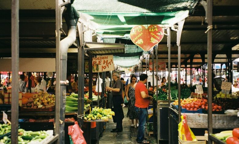 nova flow marketing potentialshaping