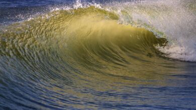 radiant surge start driving opportunities