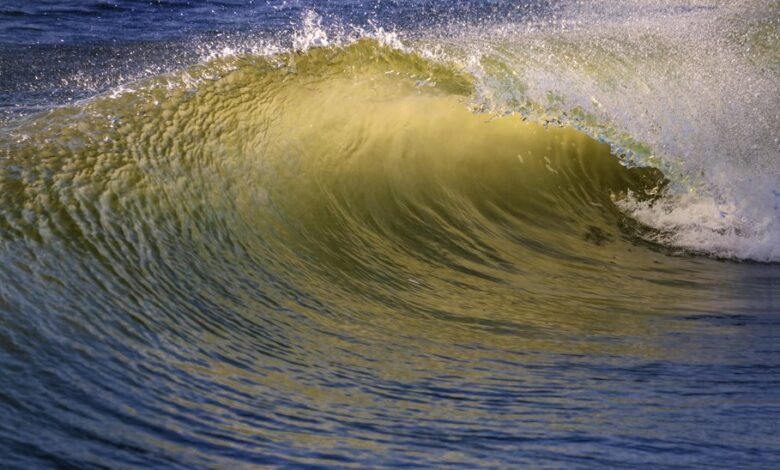 radiant surge start driving opportunities