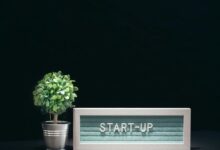 stellar arc start innovation