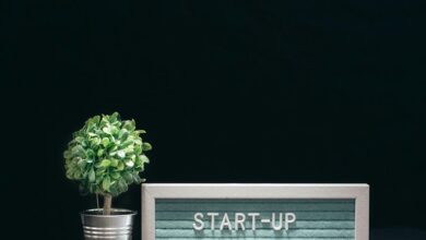 stellar arc start innovation