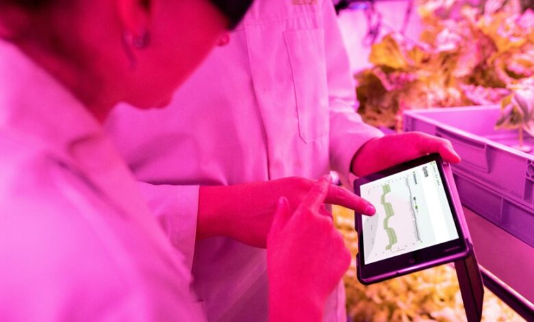 stellar prism fueling growth