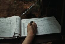 inspect registry numbers and details