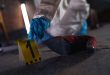 registry investigation records identifiers listed
