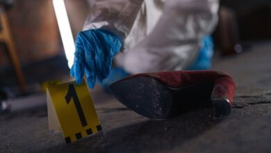 registry investigation records identifiers listed