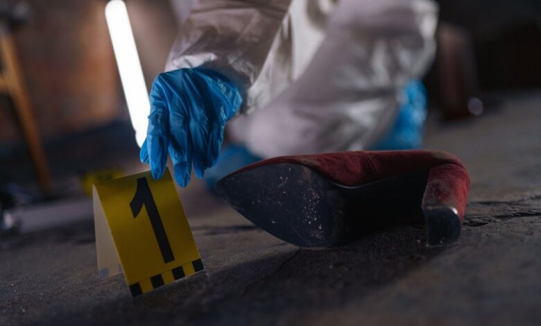 registry investigation records identifiers listed