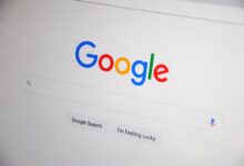 registry search results for specific numbers