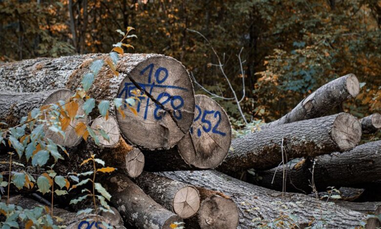 search identity registry log ids