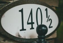 verified records ids list for investigation